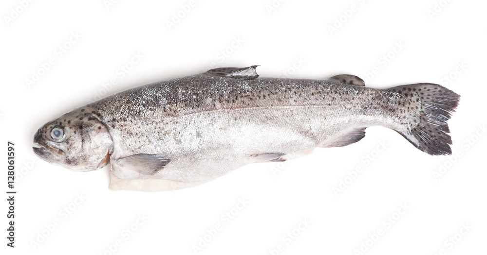 Naklejka premium Gutted trout isolated