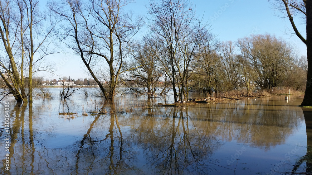 Hochwasser in Köln