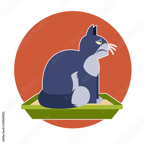 Angry cat on the toilet