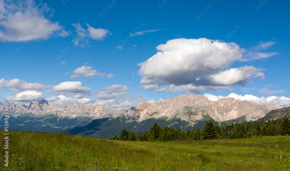 Val di Fiemme, Italy, summer lanscape with Dolomites  Alps in background.