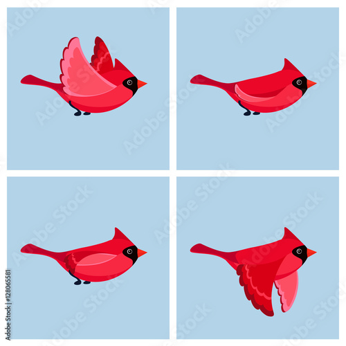Flying cardinal animation sprite