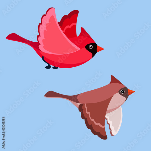 Flying cardinals