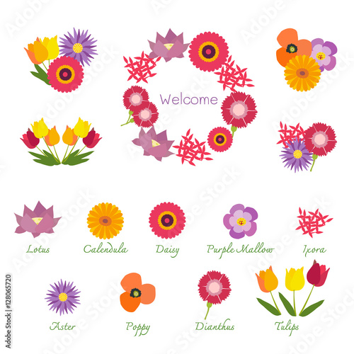 Tropical Flowers Isolated with Names, Showing in Bouquets and a Garland
