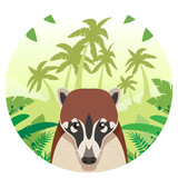 Coati on the Jungle Background