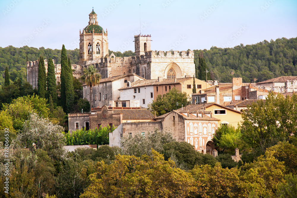 Vue panoramique du Monastère royal de Santes Creus, Catalogne, Espagne