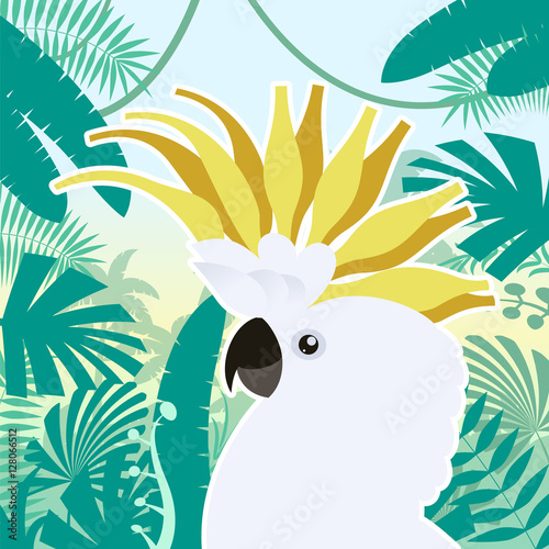 Cockatoo on the Jungle Background