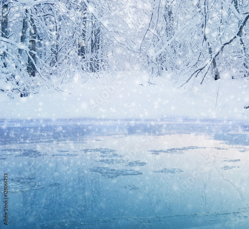 winter forest landscape - snoe covered trees and lake shore