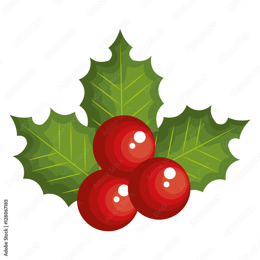 merry christmas leafs decoration vector illustration design merry christmas leafs decoration vector illustration design