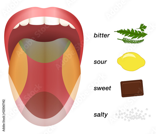 Bitter, sour, sweet and salty taste represented by herbs, lemons, chocolate and grains of salt on a tongue.