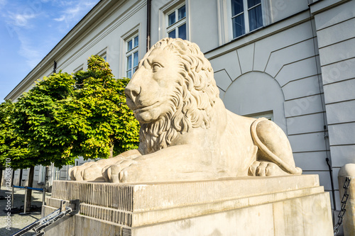 Stone Lion statue in front of the Presidential Palace, Warsaw