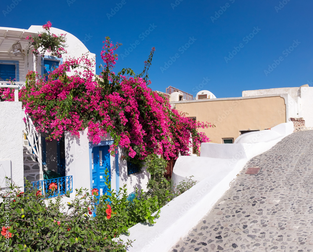 Fototapeta Dom dekorujący z czerwonymi kwiatami w Oia, Santorini, Grecja