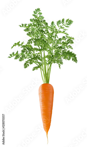 Vertical single carrot with green top isolated on white