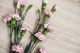 Flowers pink carnations lay board