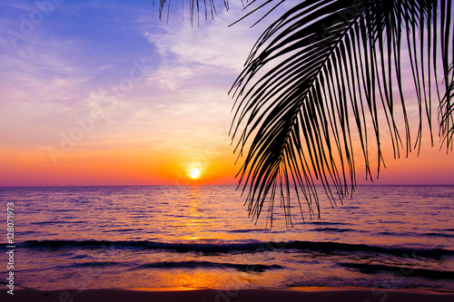 Fototapeta Naklejka Na Ścianę i Meble -  sunset landscape. beach sunset.  palm trees silhouette on sunset