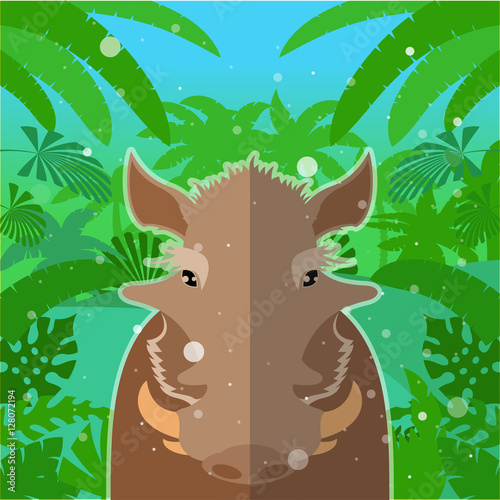 Wart-hog on the Jungle Background