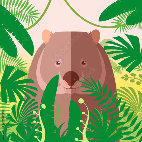 Wombat on the Jungle Background