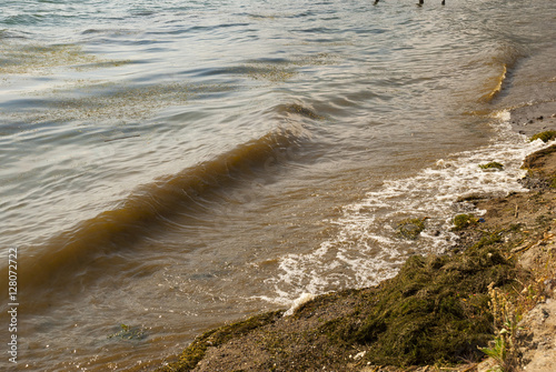Detail of a sandy sea beach in the sunset photo