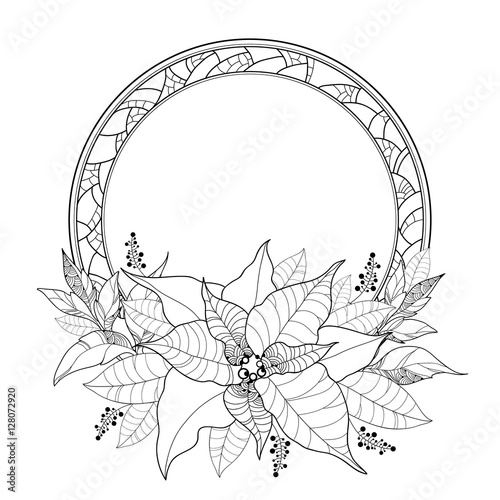 Vector Poinsettia or Christmas Star, leaves and ornate round frame isolated on white. Outline Poinsettia flower for winter design and coloring book. Traditional Christmas symbol in contour style.