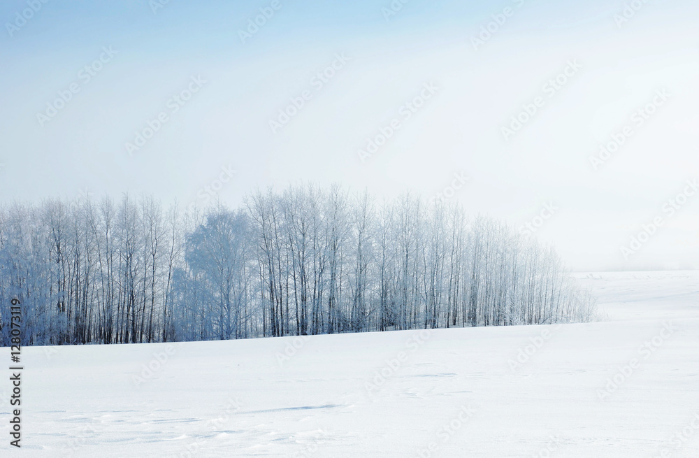 Winter landscape in cold day with frozen trees on horizon Winter landscape in cold day with frozen trees on horizon