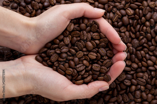 The coffee beans in a hands