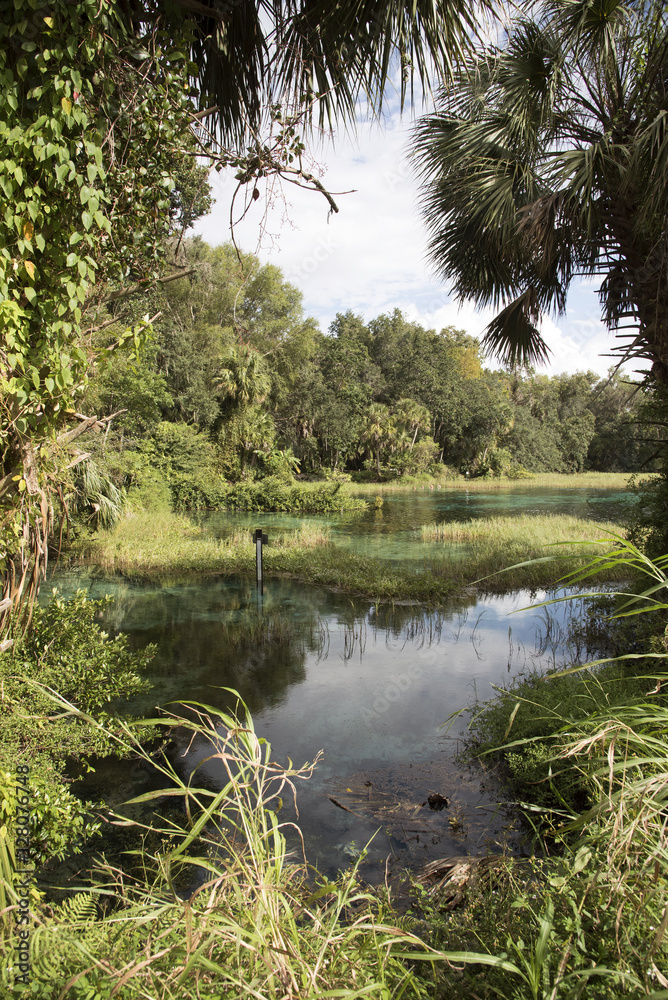 Rainbow Springs State Park Florida USA - October 2016 - The Rainbow River within the state park Rainbow Springs State Park Florida USA - October 2016 - The Rainbow River within the state park