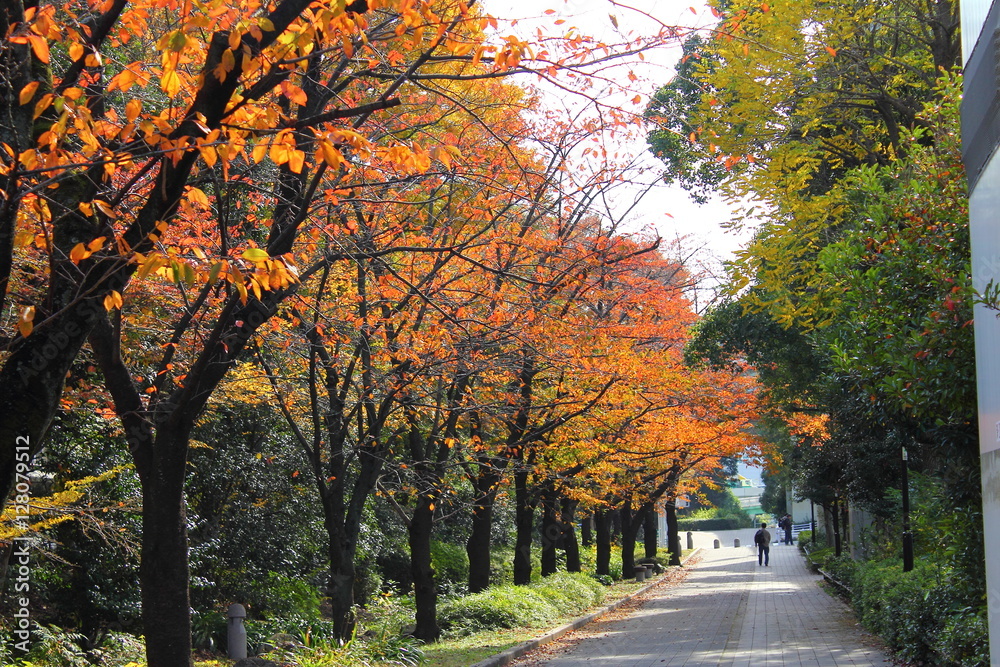 辰巳の森海浜公園