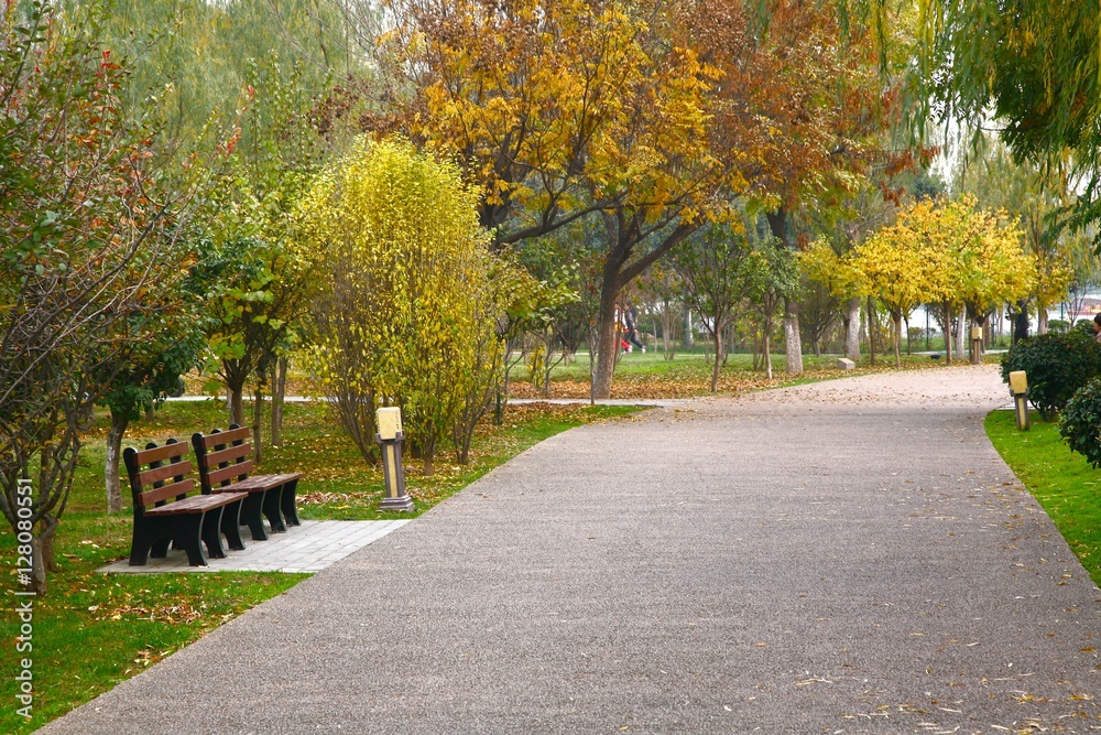  The beautiful park in Daming Palace , Xian China