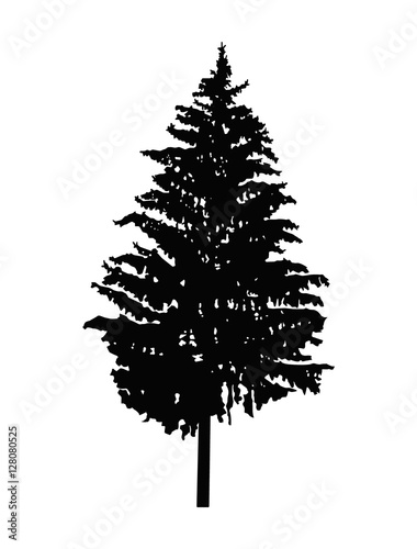 Silhouette of pine tree. Can be used as poster, badge, emblem, banner, icon, sign, decor... © yik2007