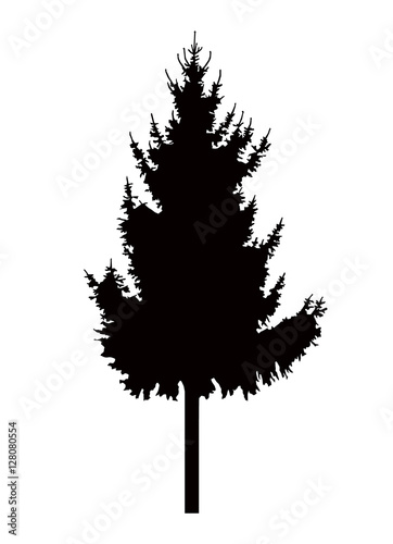 Silhouette of pine tree. Can be used as poster  badge  emblem  banner  icon  sign  decor...