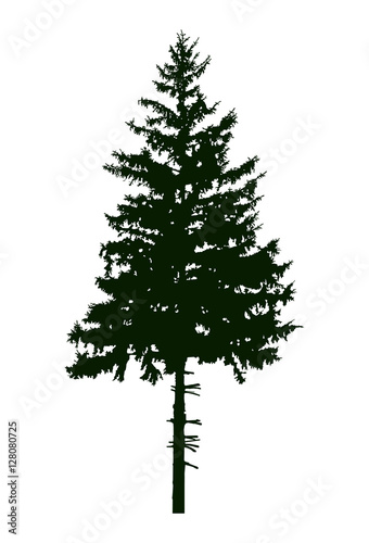Silhouette of pine tree. Can be used as poster, badge, emblem, banner, icon, sign, decor...