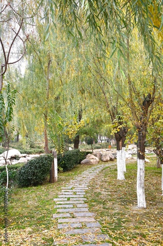  The beautiful park in Daming Palace , Xian China photo