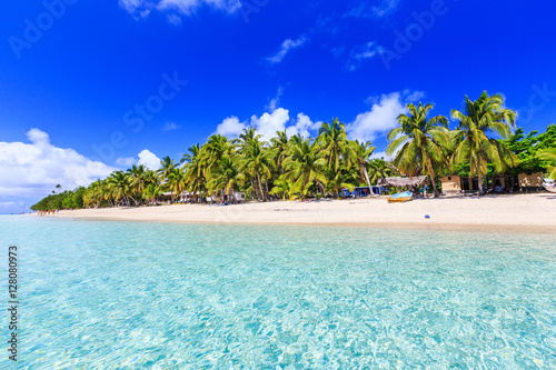 Beach on a tropical island with clear blue water. Dravuni Island, Fiji.