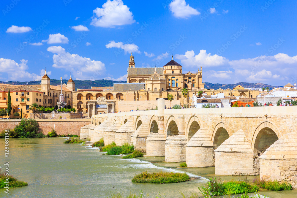 Cordoba, Spain. Roman Bridge and Mosque-Cathedral on the Guadalquivir River.
