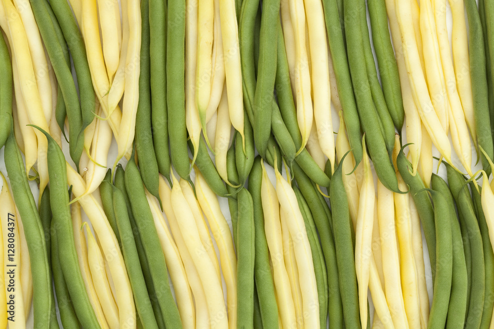 Fototapeta premium green and yellow bean