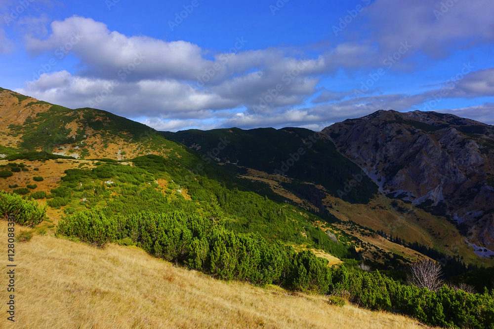 Fototapeta premium Autumn landscape in Natural Park Retezat, Romania