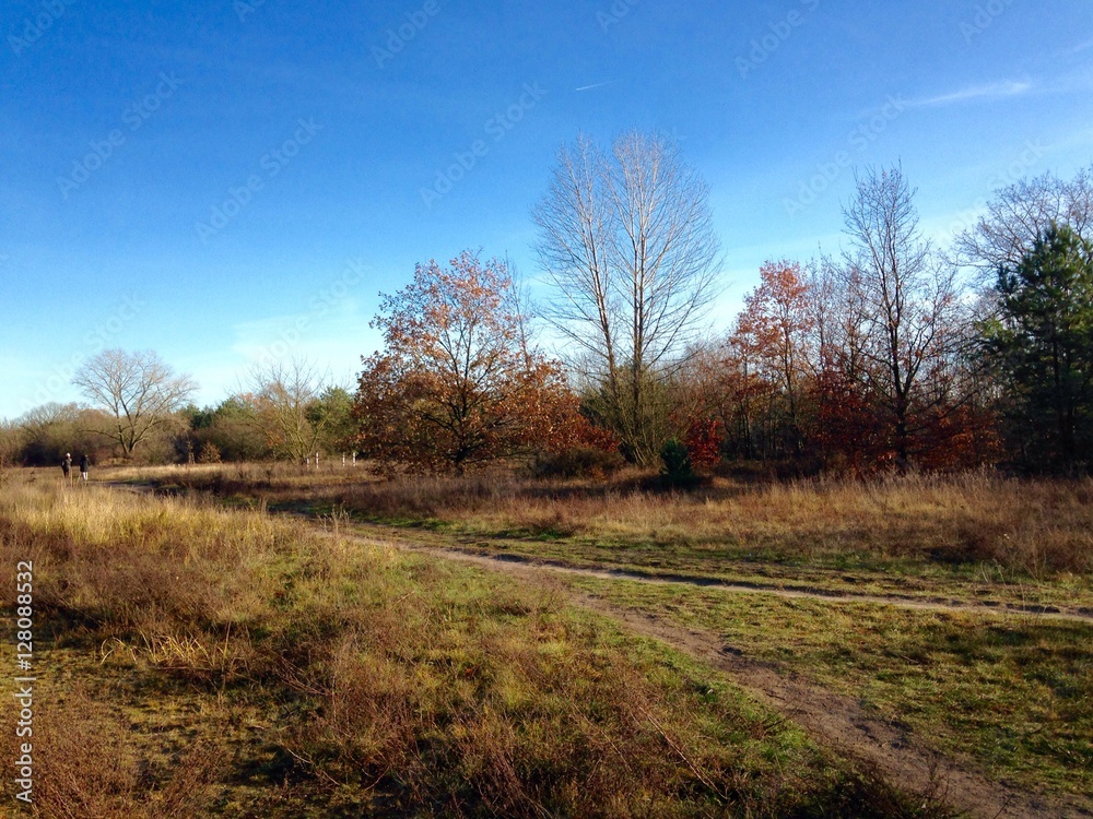 Herbstspaziergang 