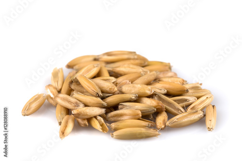 pile of organic oat grains