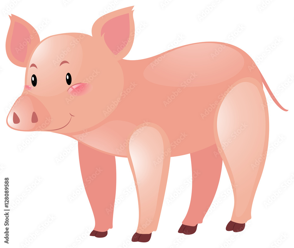 Naklejka premium Pink pig on white background