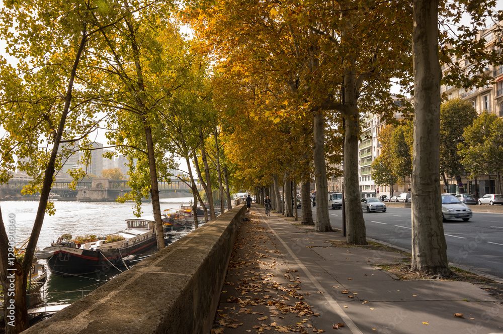 Naklejka premium Embankment of the river Seine