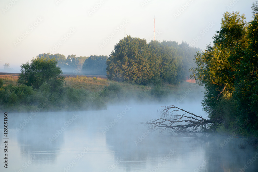 Obraz premium Beautiful landscape in early morning with fog