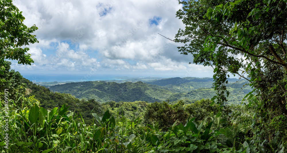 Fototapeta premium El Yunque