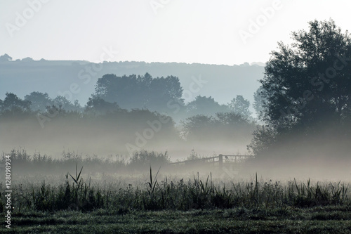 Mist Across Meadow © suerob