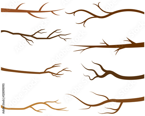 Billede på lærred Brown tree branches without leaves