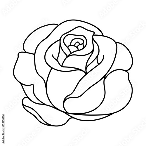 silhouette of black and white rose