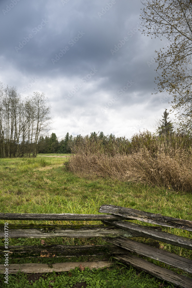 Rustic Fence Rustic Fence