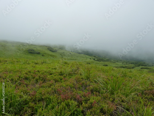 Foggy mountains forest and meadow. Beautiful landscape rainy clouds moody weather colors scenic background. Bieszczady, Poland