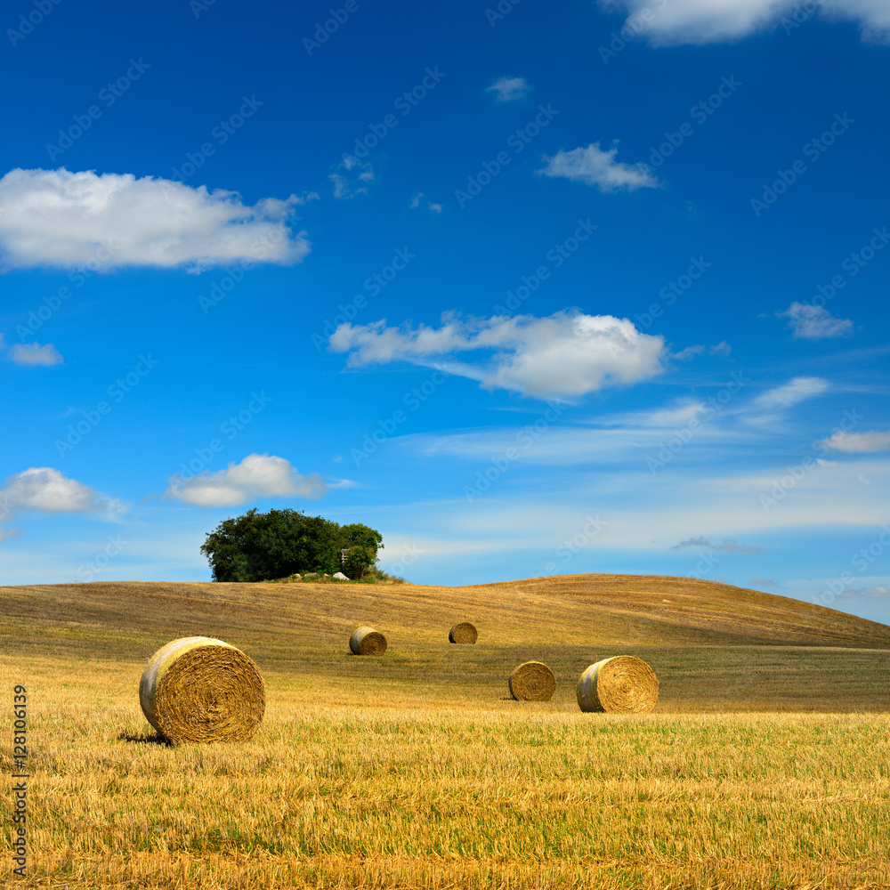 Bales of Straw in Stubble Field during Harvest, Summer Landscape of Rolling Hills under Blue Sky
