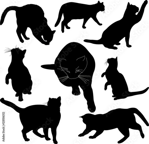 Cats silhouette collection - vector