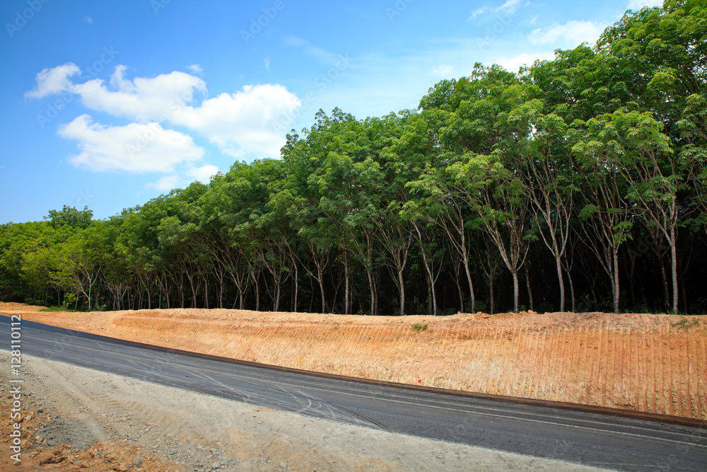 Fototapeta premium Asphalt road view landscape.