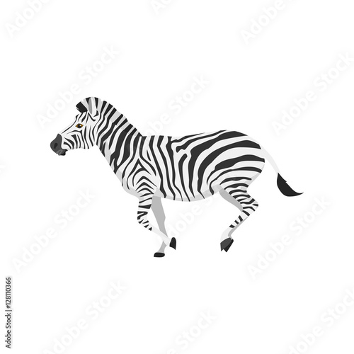 zebra were running